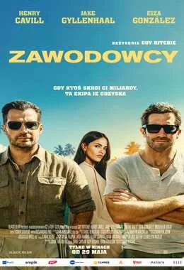 ZAWODOWCY 2D NAPISY