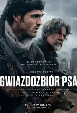 GWIAZDOZBIÓR PSA 2D NAPISY